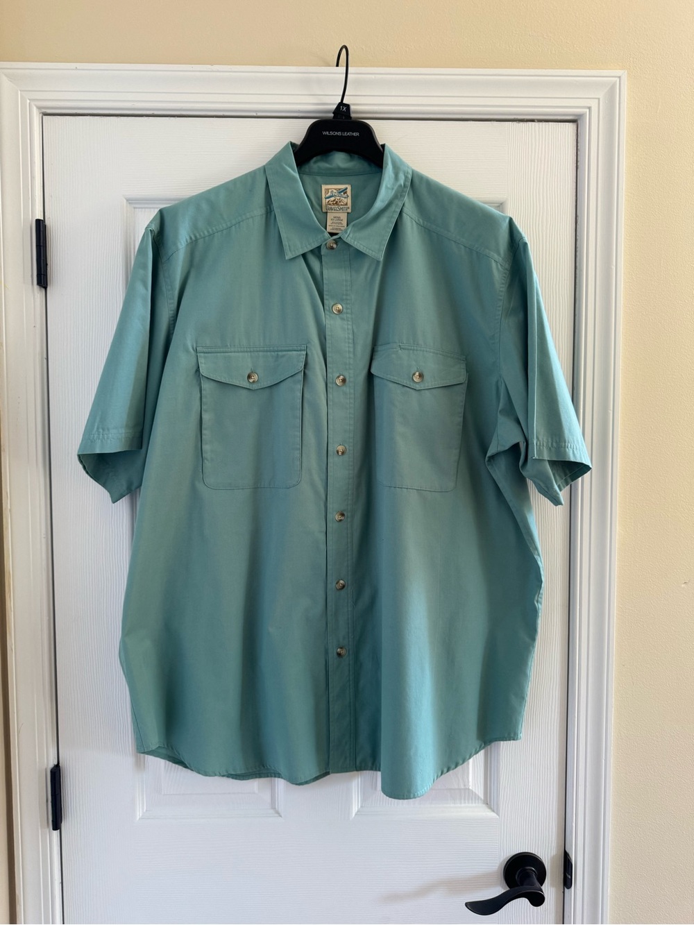 TravelSmith Men's Short-Sleeve Button-Down Shirt in Seafoam Green